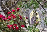 Florile de la Mănăstirea „Sfântul Cuvios Patapie” din Loutraki
