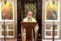 Pr. Prof. Ion Vicovan