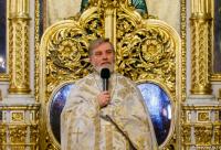 Pr. Ion Vicovan