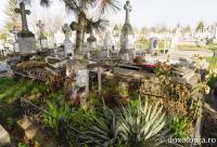 Mormântul Mamei Blondina Gobjilă