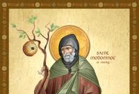 Sfântul Ierarh Modomnoc, Episcop de Ossory