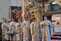 Consolidarea misiunii pro viață din Arhiepiscopia Iașilor: întâlnirea preoților responsabili de activitatea Pro Vita din cele 13 protopopiate ale eparhiei