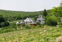 Mănăstirea Cozancea