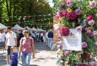 (Video) Festivalul Familiei de la Iași 2025 în câteva minute