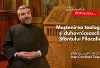 Pr. Prof. Univ. Dr. Ioan C. Teșu