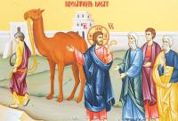 Duminica a 30-a după Rusalii (Dregătorul bogat – Păzirea poruncilor) 