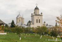Mănăstirea Pasărea