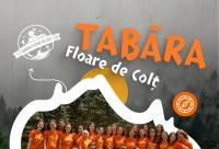 Tabăra „Floare de Colț” de la Durău recrutează noi colegi