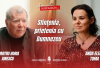 Dumitru Horia Ionescu