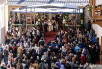 Proclamarea Canonizării Sfintei Cuvioase Antonina de la Tismana