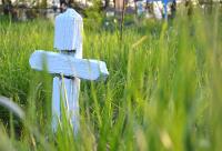 Crucile unui cimitir de țară
