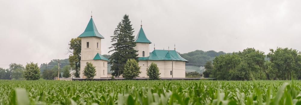 Mănăstirea Runc / Foto: Pr. Silviu Cluci