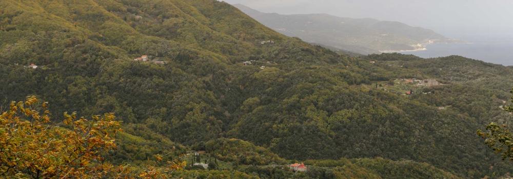 Sihăstria Provata – Muntele Athos
