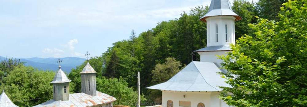 Mănăstirea Ciocanu