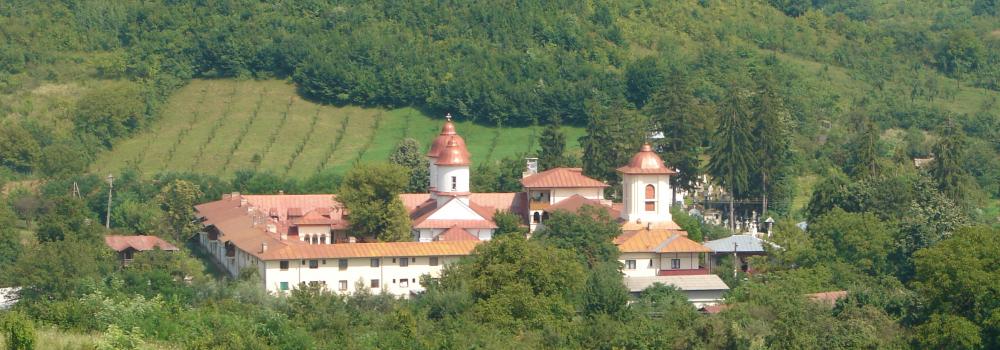 Mănăstirea Viforâta