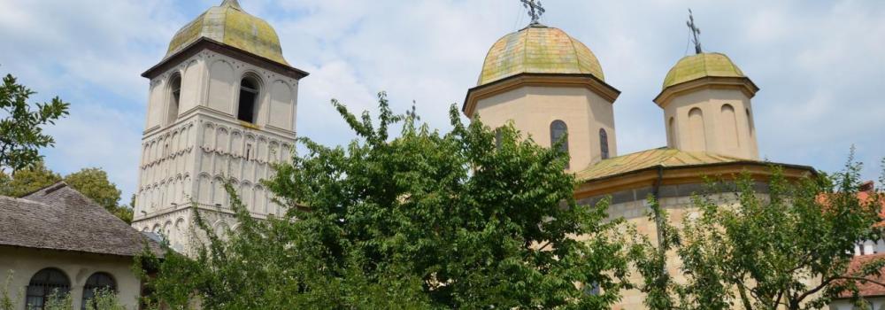 Mănăstirea Negru Vodă