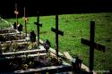 morminte