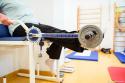 recuperare medicală