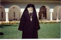  „Gânduri senine” ale Părintelui Teofil Părăian pentru înfruntarea bolilor trupești și a suferințelor lăuntrice