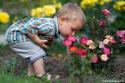 copil mirosind florile
