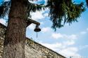 clopot