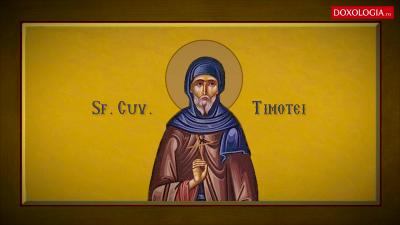 Troparul Sfântului Cuvios Timotei