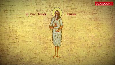 Sfântul Cuvios Teodor Trihina