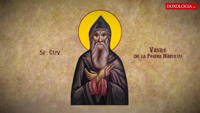 Sfântul Cuvios Vasile de la Poiana Mărului