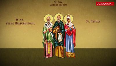 Sfântul Ierarh Vasile Mărturisitorul, Episcopul Pariei