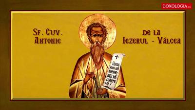 Troparul Sfântului Cuvios Antonie de la Iezerul-Vâlcea Troparul Sfântului Cuvios Antonie de la Iezerul-Vâlcea