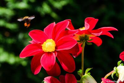 (Video) 5 sfaturi pentru viața de zi cu zi