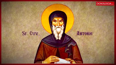 Troparul Sfântului Cuvios Antonie cel Mare