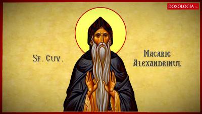 Troparul Sfântului Cuvios Macarie Alexandrinul