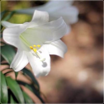 (VIDEO) Dai voință, iei putere! (VIDEO) Dai voință, iei putere!