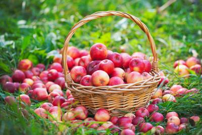 (Video) De ce hărnicia Martei nu L-a impresionat pe Hristos?