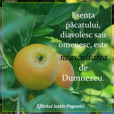 Esența păcatului, diavolesc sau omenesc, este neascultarea de Dumnezeu
