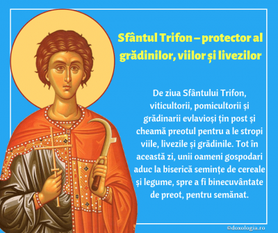 Sfântul Trifon – protector al grădinilor, viilor și livezilor Sfântul Trifon – protector al grădinilor, viilor și livezilor