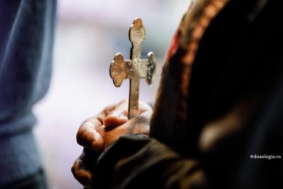 (Video) „Dacă mâine dimineață vă puneți în minte să nu bârfiți, Crucea și-a făcut efectul” – Pr. Constantin Necula