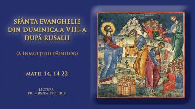 (Video) Sfânta Evanghelie din Duminica a VIII-a după Rusalii (Înmulțirea pâinilor)