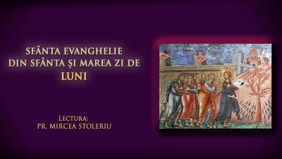 (Audio) Sfânta Evanghelie din Sfânta și Marea zi de Luni