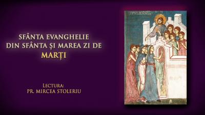 (Video) Sfânta Evanghelie din Sfânta și Marea zi de Marți