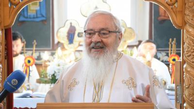 IPS Andrei ips Andrei