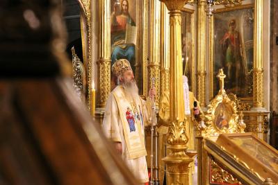 Înaltpreasfințitul Părinte Teofan, Mitropolitul Moldovei și Bucovinei