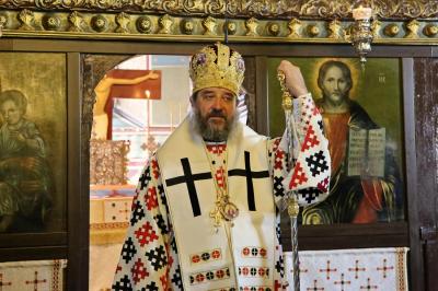 PS Nichifor Botoșăneanul, Episcop-vicar al Arhiepiscopiei Iașilor