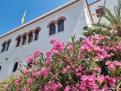 Frumusețea florilor de la Mănăstirea Sfântului Nectarie din Eghina