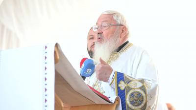 IPS Andrei IPS Andrei