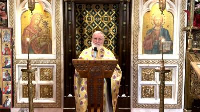 Pr. Prof. Ion Vicovan Pr. Prof. Ion Vicovan