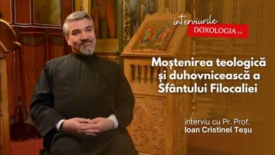 Pr. Prof. Univ. Dr. Ioan C. Teșu