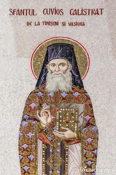 Sfântul Cuvios Calistrat de la Timișeni și Vasiova