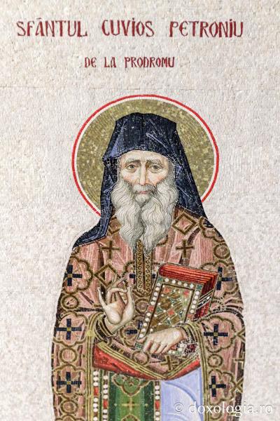 Sfântul Cuvios Petroniu de la Prodromu